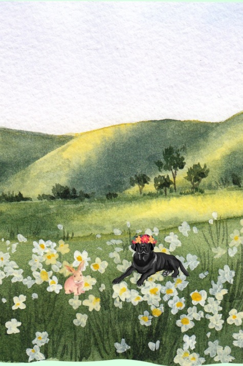 Harley\'s Adventures Large