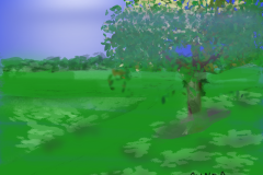The Pasture