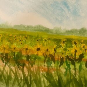 Sunflower Field