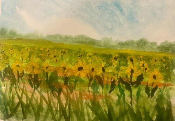 Sunflower Field