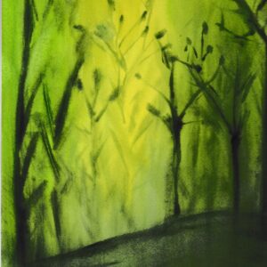 Bamboo Forest