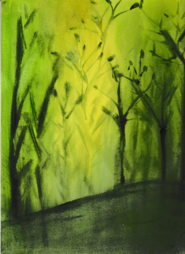 Bamboo Forest