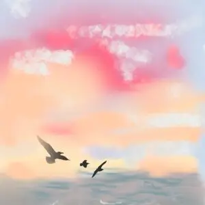 Feeding At Sunset