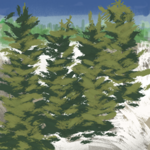 Winter Wonderland