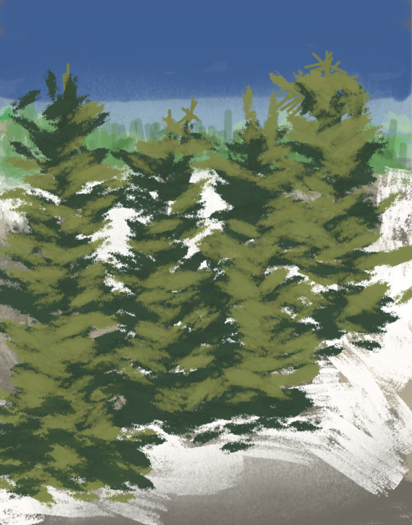 Winter Wonderland